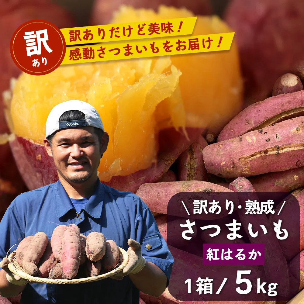 【訳あり！】【先行予約：11月下旬配送～】熟成 さつまいも 紅はるか 5kg (美味しい焼き芋の焼き方 説明書付き） FR-217｜秋の味覚 2026年秋収穫 サイズランダム 家庭用 貯蔵 糖化 さつまいも サツマイモ 感動サツマイモ 焼き芋 べにはるか 野菜 ねっとり 濃厚 おやつ おかず お弁当 煮物 芋ごはん 味噌汁 産地直送 鹿児島県 南大隅町 株式会社フォレスト