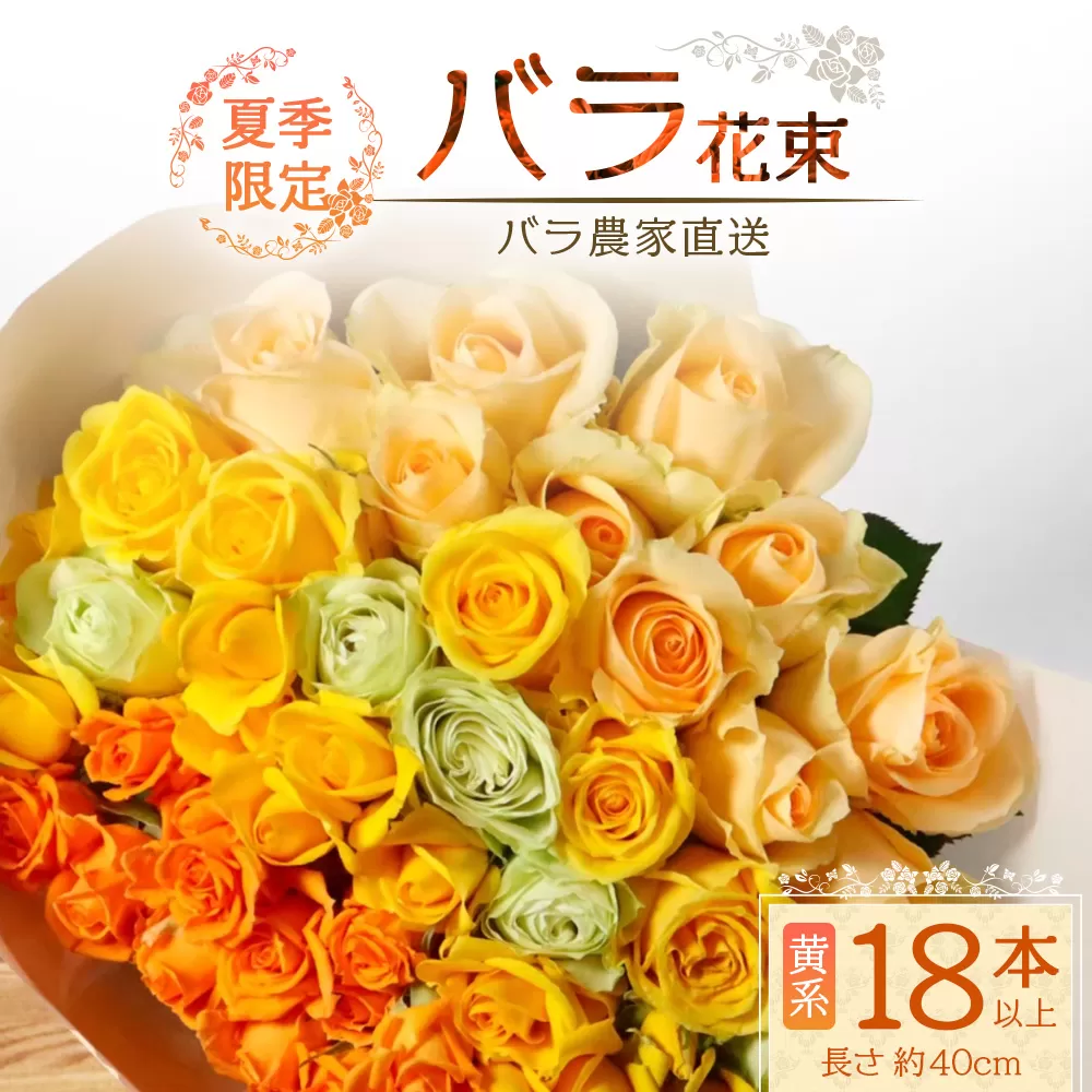 【先行予約・夏季限定 薔薇】ばら農家直送！バラ花束18本以上お届け(黄系)【ギフト対応可】TB-3│ローズ 新鮮 花 フラワー 花束 ばら 薔薇 バラ 誕生日 記念日 結婚祝い ギフト プレゼント お祝い 贈り物 贈答 鹿児島県 南大隅町 富田バラ園