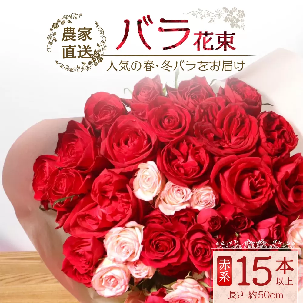 【先行予約】【人気の春・冬薔薇をお届け】ばら農家直送！バラ花束15本以上お届け(赤系) 【ギフト対応可】TB-9│ローズ 新鮮 花 フラワー 花束 ばら 薔薇 バラ 誕生日 記念日 結婚祝い ギフト プレゼント お祝い 贈り物 贈答 鹿児島県 南大隅町 富田バラ園
