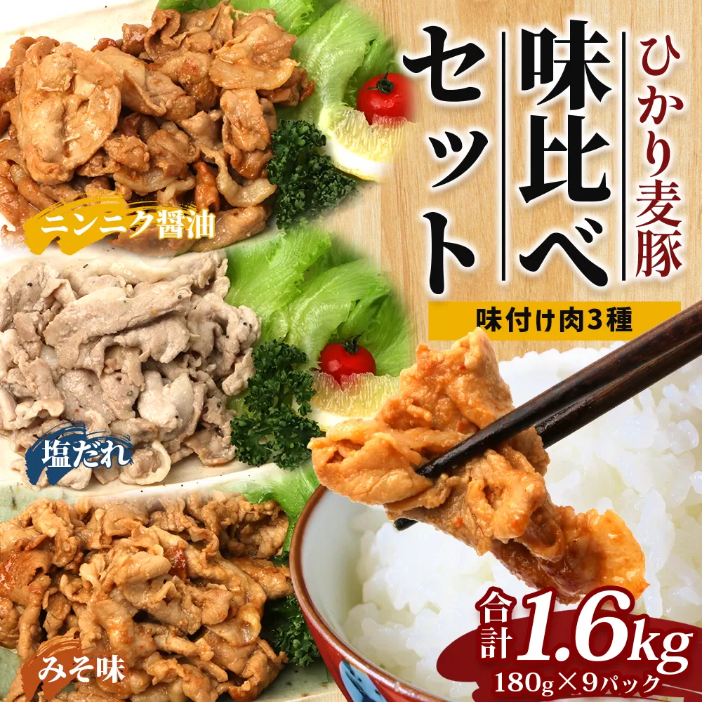 鹿児島県産 ひかり麦豚 味比べセット ≪味付け肉≫ 計約1.6kg (180g×9パック)みそ 塩だれ ニンニク醤油 トレーなし 冷凍 HM-4| 肉 お肉 にく 豚肉 味噌味 塩ダレ にんにく醤油 冷凍 解凍して焼くだけ 真空冷凍 産地直送 新鮮 小分け おかず 甘み 産地直送 鹿児島県 南大隅町 ひかり麦豚直売所