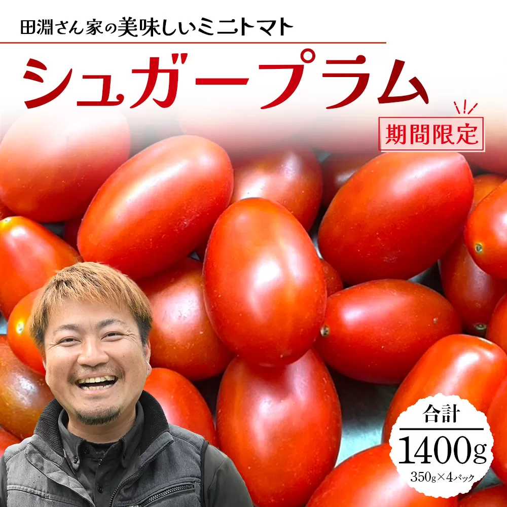 《期間限定》田淵さんちの美味しい ミニトマト シュガープラム（約1,400g）GP-2｜鹿児島県 南大隅 産地直送 旬 とまと トマト ミニトマト リコピン 完熟 甘い 高糖度 野菜 やさい 送料無料