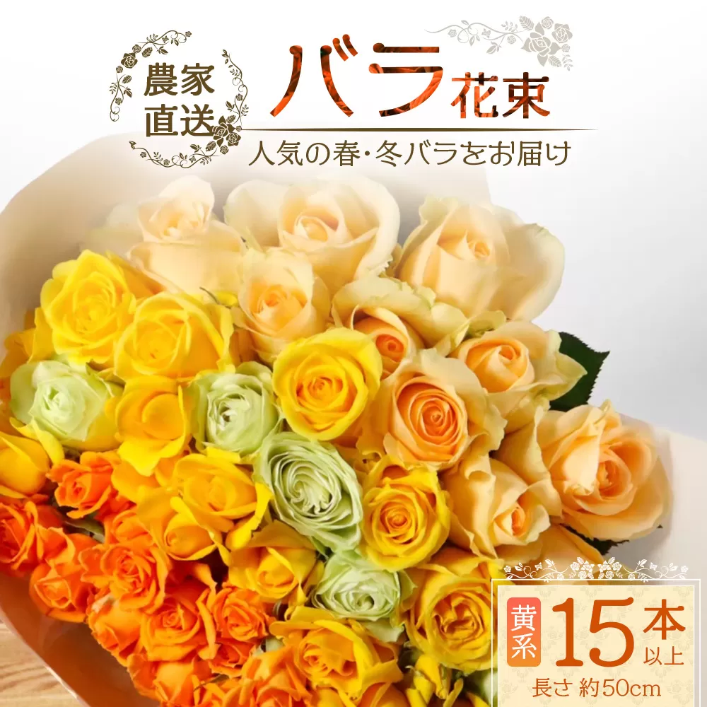 【先行予約】【人気の春・冬薔薇をお届け】ばら農家直送！バラ花束15本以上お届け(黄系) 【ギフト対応可】TB-11│ローズ 新鮮 花 フラワー 花束 ばら 薔薇 バラ 誕生日 記念日 結婚祝い ギフト プレゼント お祝い 贈り物 贈答 鹿児島県 南大隅町 富田バラ園
