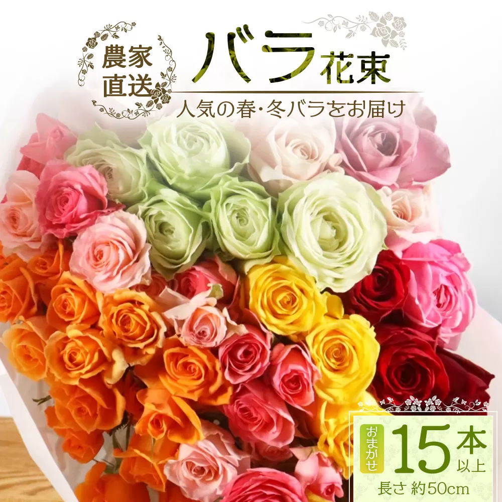 [先行予約][人気の春・冬薔薇をお届け]ばら農家直送!バラ花束15本以上お届け(色はおまかせ) [ギフト対応可]TB-12│ローズ 新鮮 花 フラワー 花束 ばら 薔薇 バラ 誕生日 記念日 結婚祝い ギフト プレゼント お祝い 贈り物 贈答 鹿児島県 南大隅町 富田バラ園