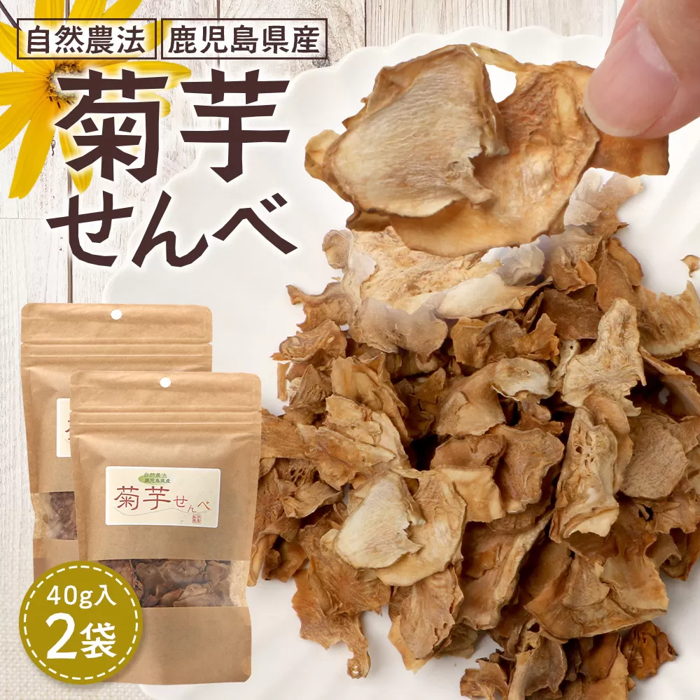 白色菊芋 菊芋せんべ （40g×2袋） SK-4｜ せんべい お菓子 菊芋 ノンフライ ノンオイル きくいも 焙煎 おつまみ グルメ お取り寄せ 鹿児島県 南大隅町 島子農園