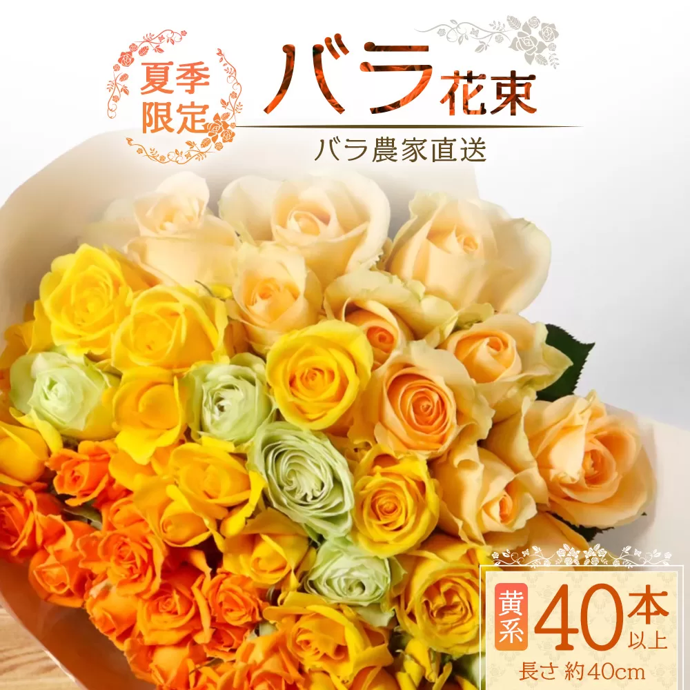 【先行予約・夏季限定 薔薇】ばら農家直送！バラ花束40本以上お届け(黄系) 【ギフト対応可】TB-7│ローズ 新鮮 花 フラワー 花束 ばら 薔薇 バラ 誕生日 記念日 結婚祝い ギフト プレゼント お祝い 贈り物 贈答 鹿児島県 南大隅町 富田バラ園