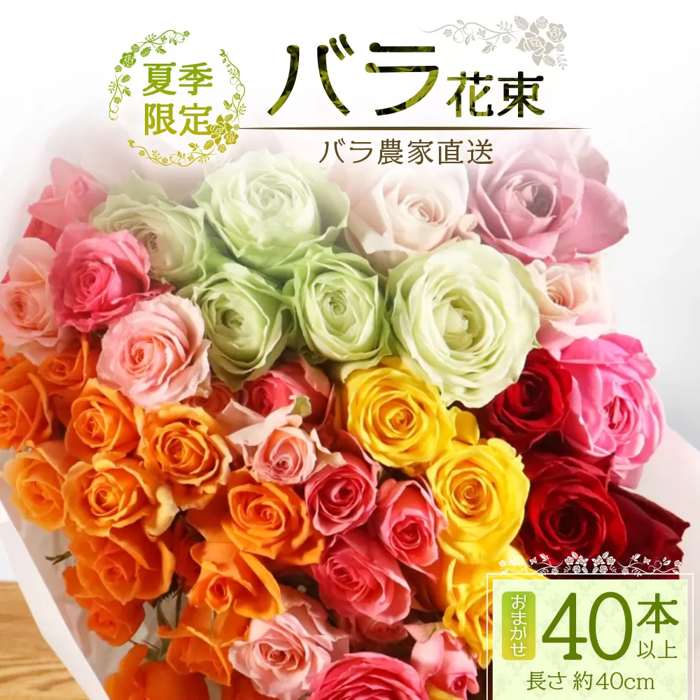 【先行予約・夏季限定 薔薇】ばら農家直送！バラ花束40本以上お届け(色はおまかせ) 【ギフト対応可】TB-8│ローズ 新鮮 花 フラワー 花束 ばら 薔薇 バラ 誕生日 記念日 結婚祝い ギフト プレゼント お祝い 贈り物 贈答 鹿児島県 南大隅町 富田バラ園