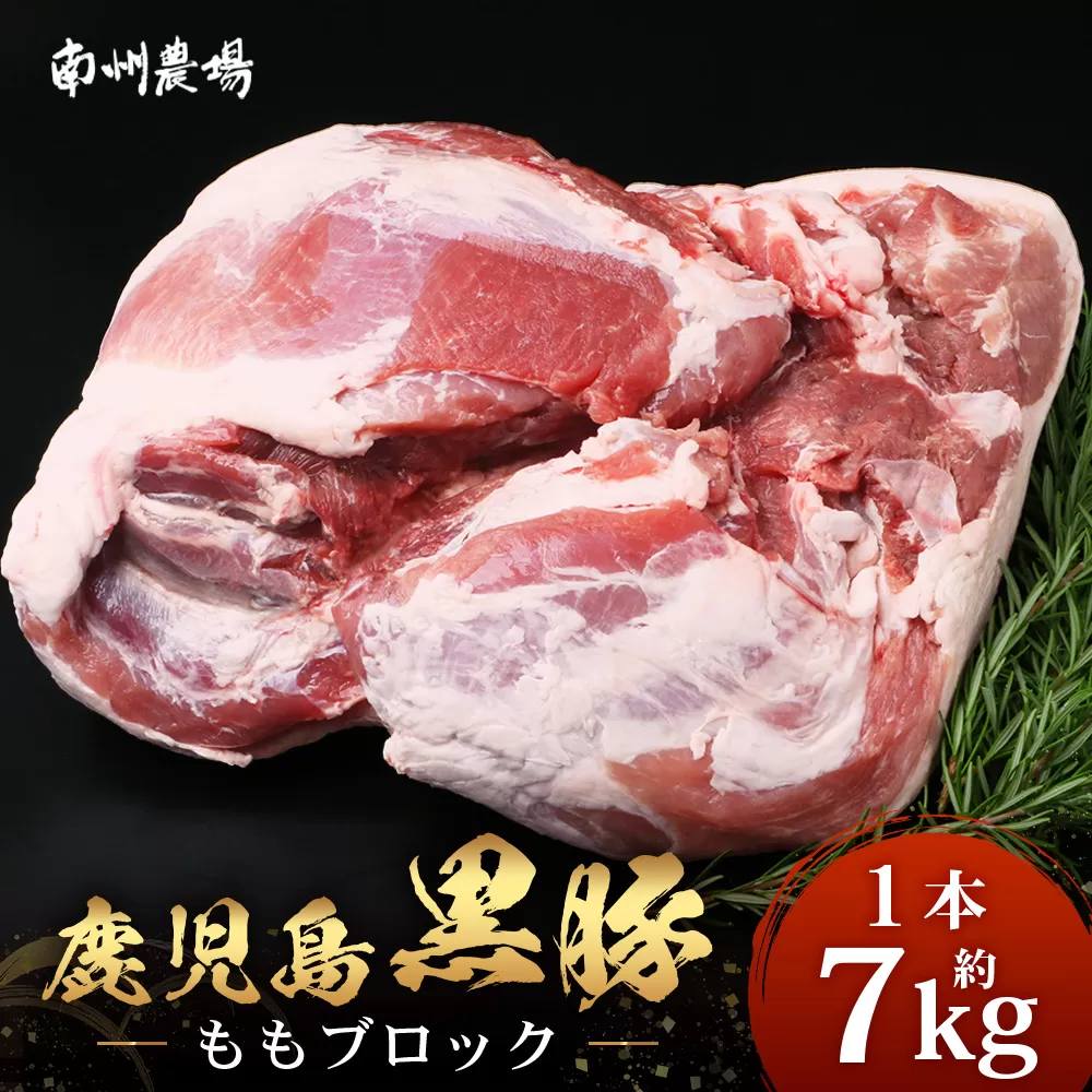 【南大隅町限定】かごしま黒豚 ももブロック（約7.0kg）NS-5 | 肉 豚肉 ぶた 豚 ブタ 黒豚 かごしま黒豚 もも肉 モモ肉 ももブロック 赤身 新鮮 産地直送 限定 大容量 鹿児島県 南大隅町 南州農場
