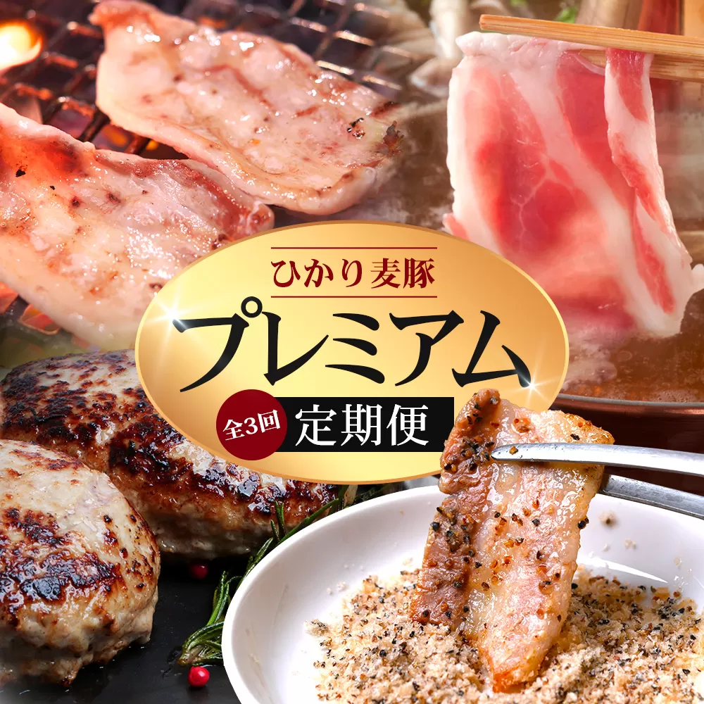 【定期便全3回】ひかり麦豚 プレミアム定期便 ≪月替わりでしゃぶしゃぶ・焼肉・ハンバーグをお届け！≫ 冷凍 HM-11 | 精肉 お惣菜 肉 お肉 にく 豚肉 焼き肉 バーベキュー ロース肉 肩ロース バラ肉  真空冷凍 産地直送 小分け パック 手作り 鹿児島県 南大隅町 ひかり麦豚直売所