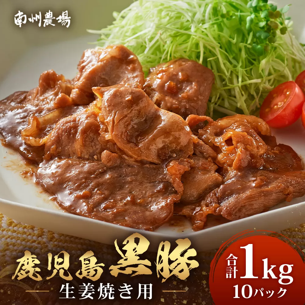 鹿児島県産 黒豚生姜焼きセット 100g×10パック 味付き肉 冷凍 NS-23 | 鹿児島 黒豚 かごしま黒豚 お肉 肉 豚肉 しょうが焼き 焼くだけ 味付き おかず お弁当 加工肉 真空パック 鹿児島県 南大隅町 南州農場