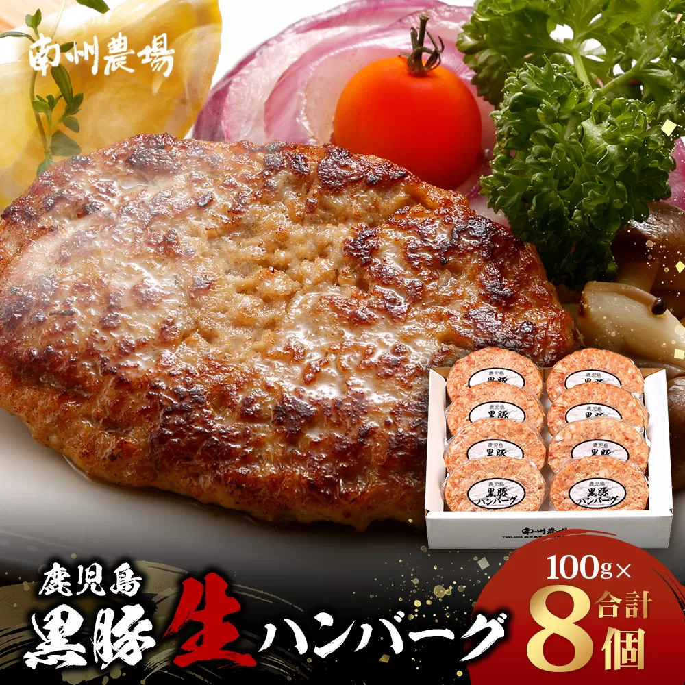 鹿児島県産 黒豚生ハンバーグセット（8個入）冷凍 NS-12 | 肉 お肉 豚肉 豚 にく ぶた かごしま黒豚 ハンバーグ おかず ジューシー 小分け ギフト おかず お弁当 国産 鹿児島県 南大隅町 南州農場