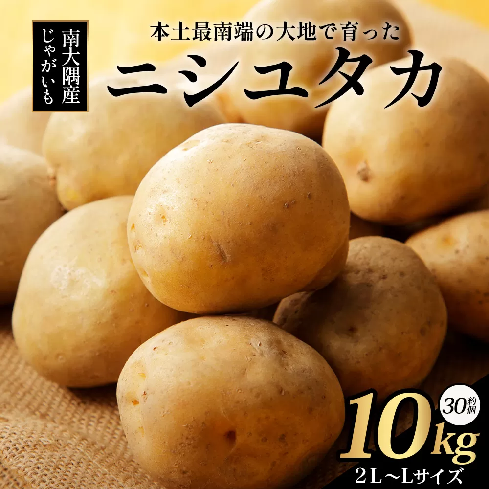 【先行予約】じゃがいも 馬鈴薯 (バレイショ) ≪2L~L≫ 約10kg×1箱 /ニシユタカ (約30個) ≪ 2026年3月20日頃より順次発送≫ CS-1|産地直送 旬 ジャガイモ 芋 ポテト ばれいしょ 新じゃが 春じゃが 春作 鹿児島県 南大隅町 地域商社推進機構