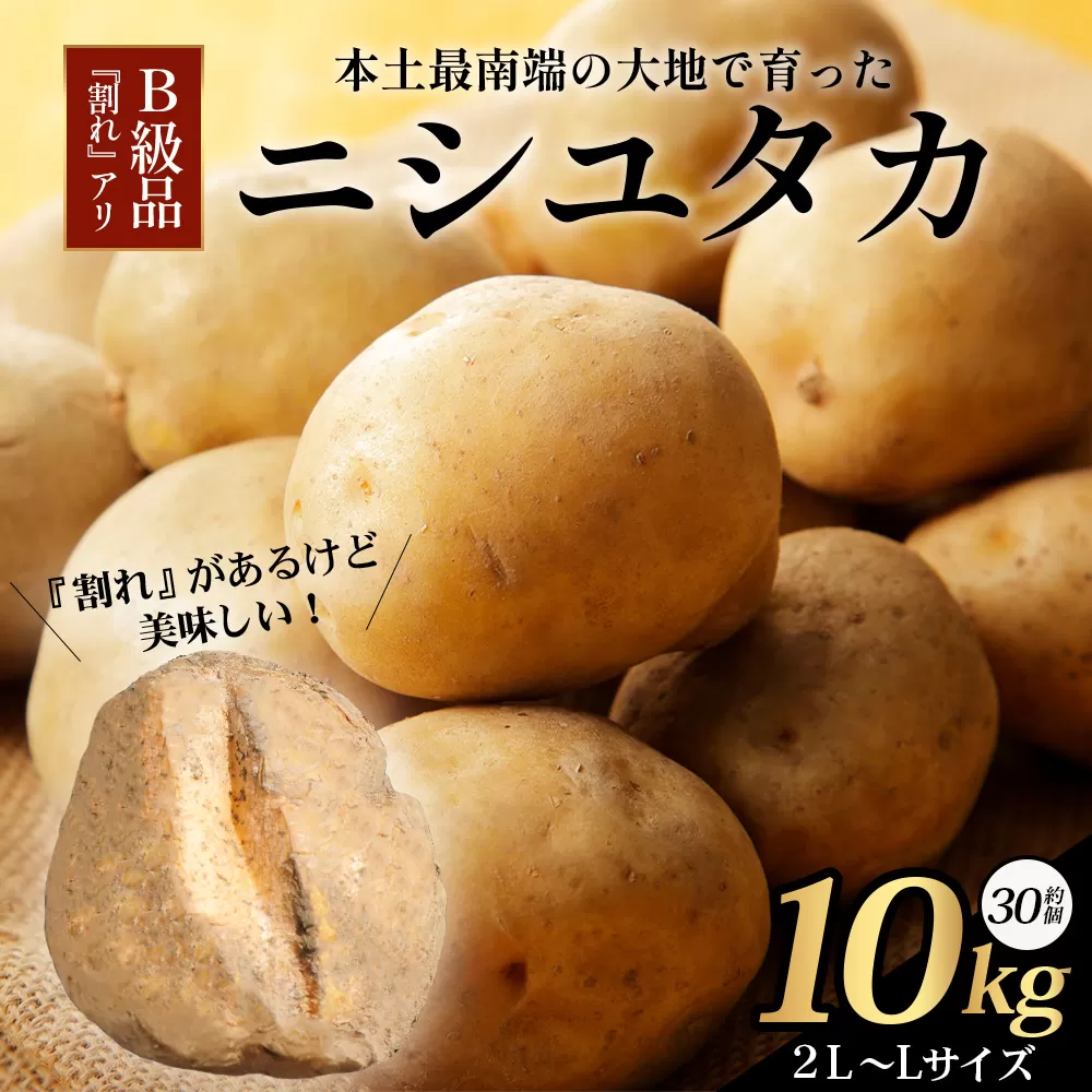 【先行予約】【B級品】(割れ) じゃがいも 馬鈴薯 (バレイショ) ≪2L~L≫ 約10kg×1箱 /ニシユタカ (約30個) ≪2026年3月20日頃より順次発送≫ CS-2 |  家庭用 南大隅町産 産地直送 旬 ポテト ジャガイモ ばれいしょ 新じゃが 春じゃが 春作 国産 鹿児島県 南大隅町 地域商社推進機構