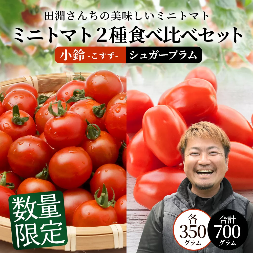 [数量限定]ミニトマト２種食べ比べセット(350g×２種) GP-3｜ミニトマト 野菜 やさい 食品 人気 おすすめ 美味しい 産地直送 小鈴 シュガープラム 食べ比べ セット