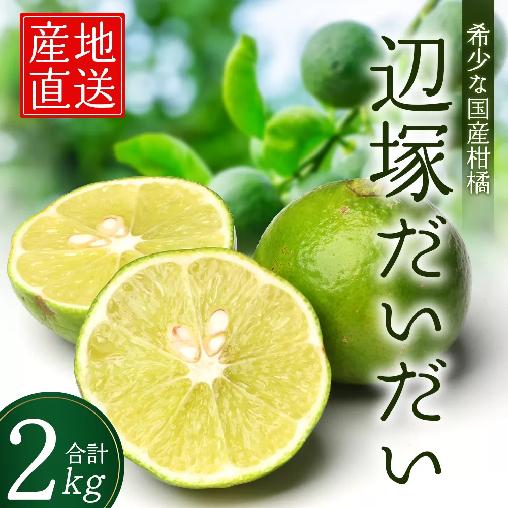 辺塚だいだい 約2kg NK-1｜果物 柑橘 辺塚だいだい へつか 産地直送 詰め合わせ 2kg 国産 新鮮 おすすめ 人気 南大隅町