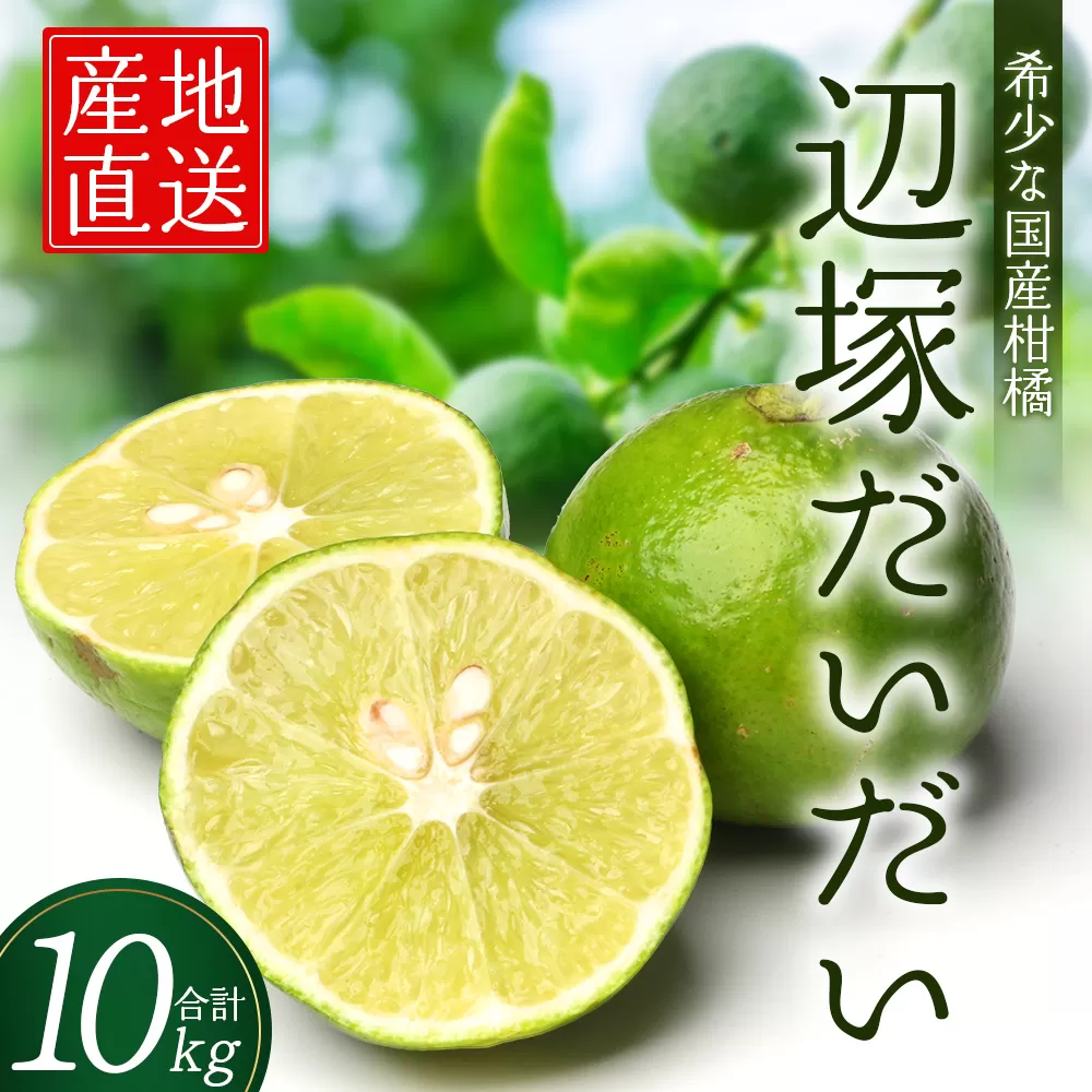 辺塚だいだい 約10kg NK-3｜果物 柑橘 辺塚だいだい へつか 産地直送 詰め合わせ 10kg 国産 新鮮 おすすめ 人気 南大隅町