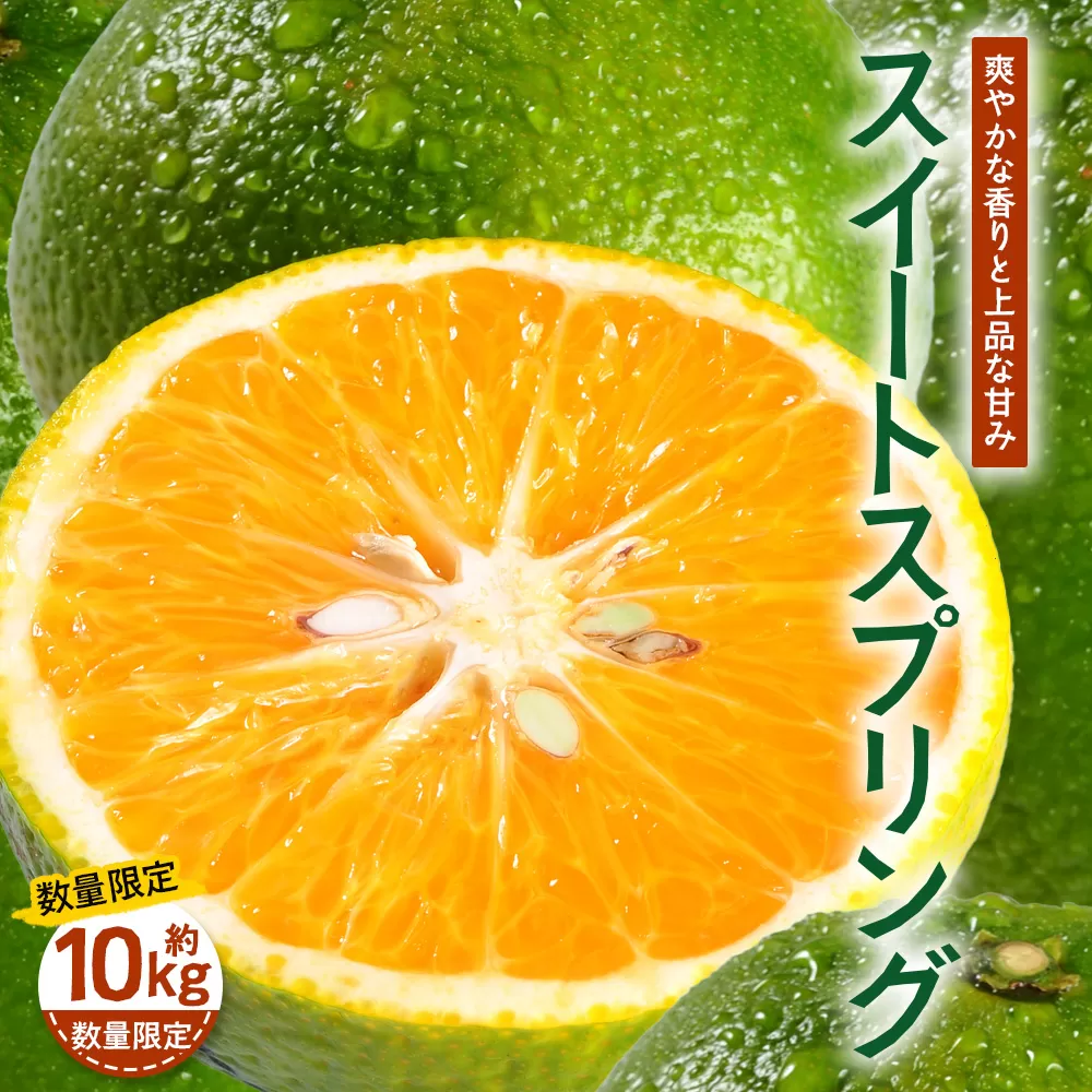 【先行予約】【数量限定】鹿児島県南大隅町産 スイートスプリング 約10kg【2025年12月中旬以降順次発送】 SK-11 | 柑橘 フルーツ 国産 果物 みかん 期間限定 数量限定 産地直送 もぎたて 新鮮 果汁 たっぷりミカン スイートスプリング 10kg 南大隅町 鹿児島県 島子農園