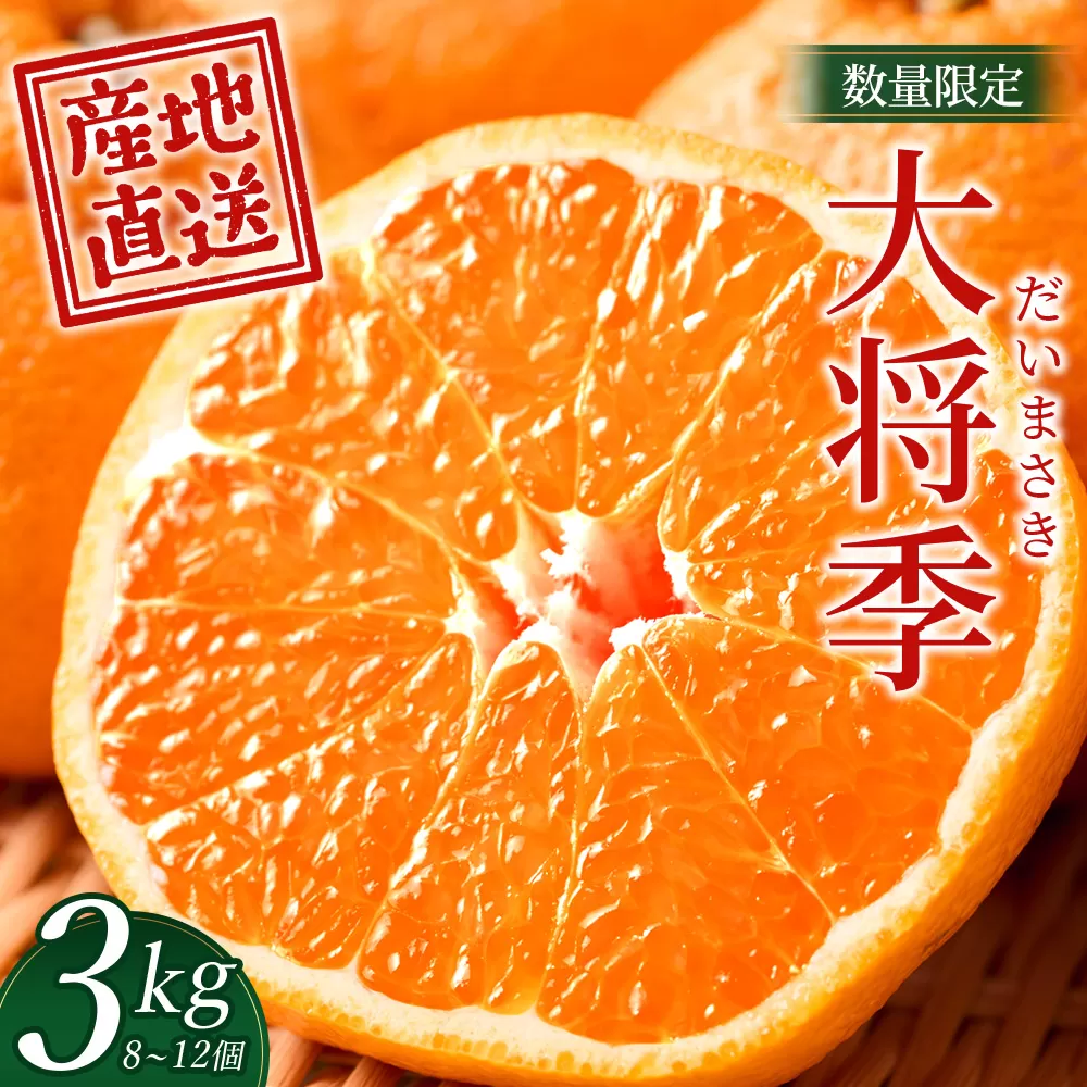 数量限定【先行予約・2025年12月～配送】大将季 約3kg (8～12個)  NT-504｜だいまさき 柑橘 みかん 果物 新鮮 産地直送 数量限定 先行予約 国産 鹿児島県 南大隅町