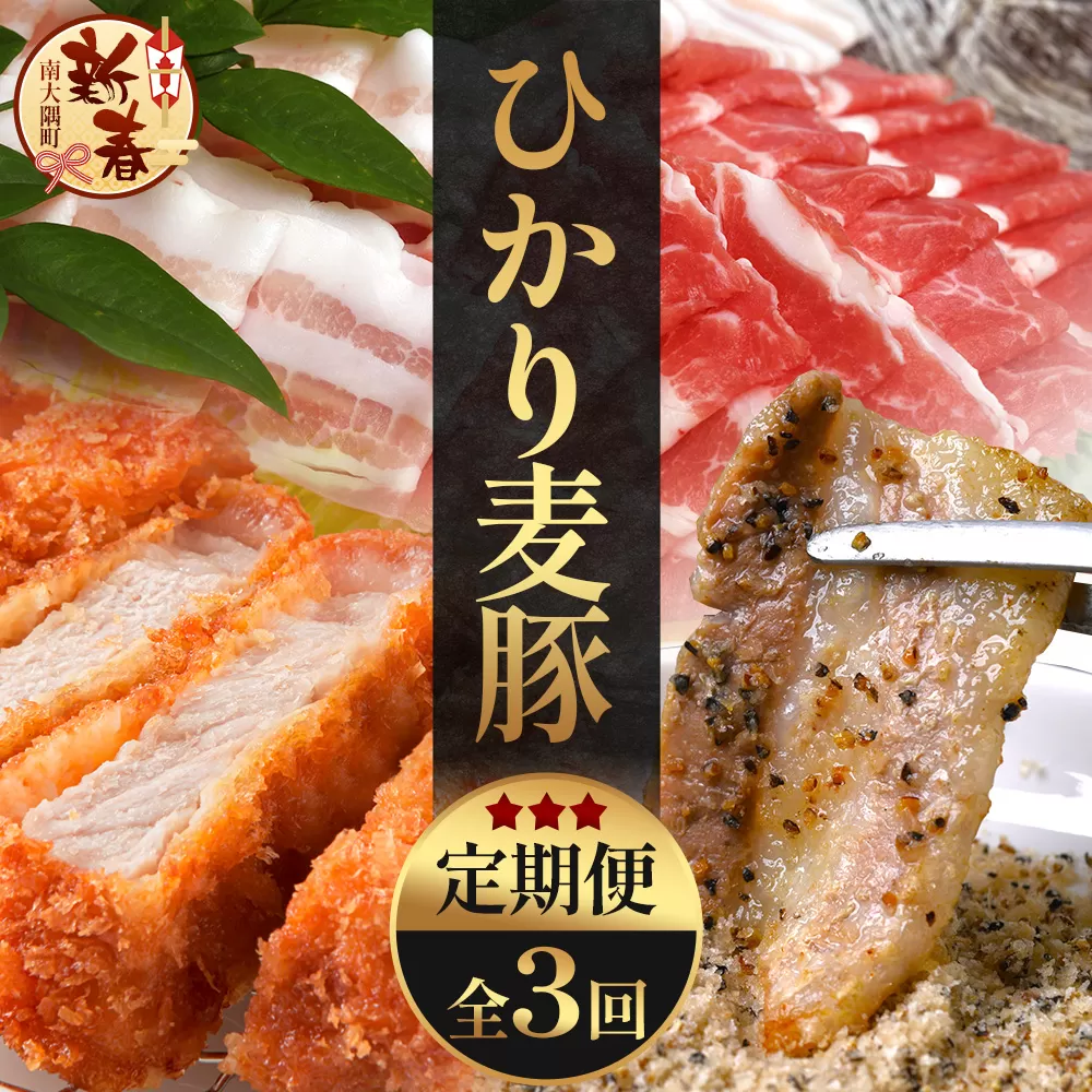 ［新春］【定期便全3回】ひかり麦豚定期便 ≪月替わりで楽しむ豚肉セット！しゃぶしゃぶ・ロース肉・焼肉セットをお届け！≫ 冷凍 HM-18 | 肉 お肉 にく 豚肉 精肉 焼き肉 焼肉 やきにく バーベキュー ロース肉 肩ロース バラ肉 生姜焼き とんかつ しゃぶしゃぶ 真空冷凍 産地直送 小分け パック 手作り 鹿児島県 南大隅町 ひかり麦豚直売所