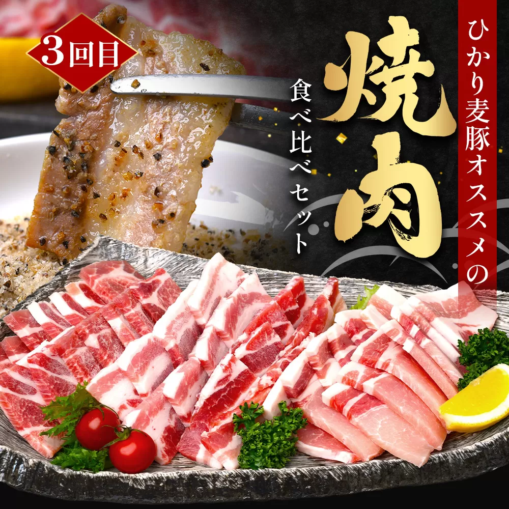 [先行受付〜2026年1月中旬より順次発送〜][定期便全3回]ひかり麦豚定期便 ≪月替わりで楽しむ豚肉セット!しゃぶしゃぶ・ロース肉・焼肉セットをお届け!≫ 冷凍 HM-18 | 肉 お肉 にく 豚肉 精肉 焼き肉 焼肉 やきにく バーベキュー ロース肉 肩ロース バラ肉 生姜焼き とんかつ しゃぶしゃぶ 真空冷凍 産地直送 小分け パック 手作り 鹿児島県 南大隅町 ひかり麦豚直売所