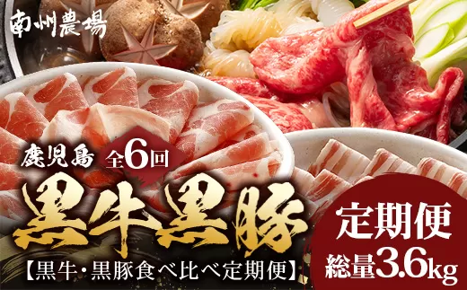 ≪全6回≫ 鹿児島県産 ◆ 黒牛&黒豚食べ比べ 定期便◆ 南州黒牛 かごしま黒豚 NS-28 | 牛 肉 お肉 ブランド牛 黒毛和牛 鹿児島黒豚 黒豚 豚肉 豚 ぶた肉 霜降り サシ ロース しゃぶしゃぶ すき焼き すきやき 甘い やわらかい 冷凍 産地直送 肉定期便 南大隅町
