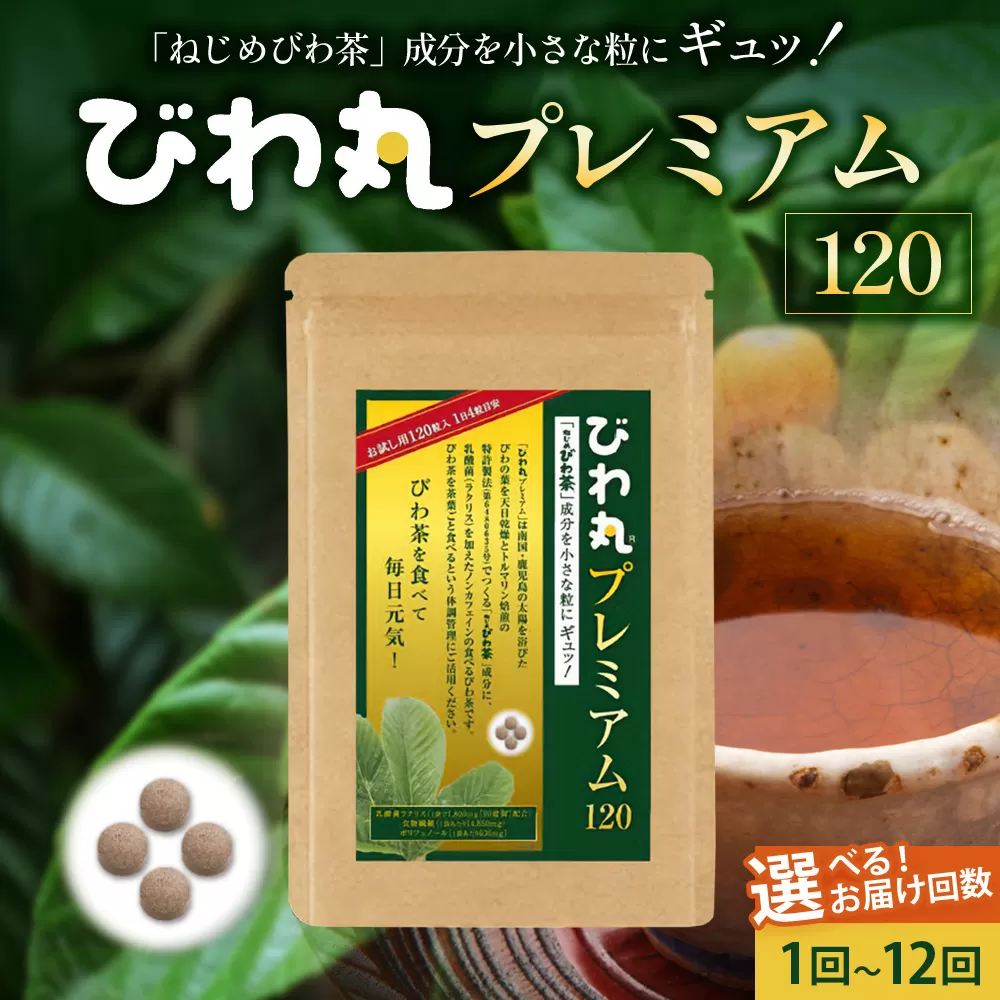 びわ丸プレミアム 1袋(120粒入) 健康補助食品 びわ茶含有加工食品 TO-8-NP| 国産 びわ茶 びわの葉 サプリメント 乳酸菌 ノンカフェイン ポリフェノール ネコポス 鹿児島県 南大隅町 十津川農場