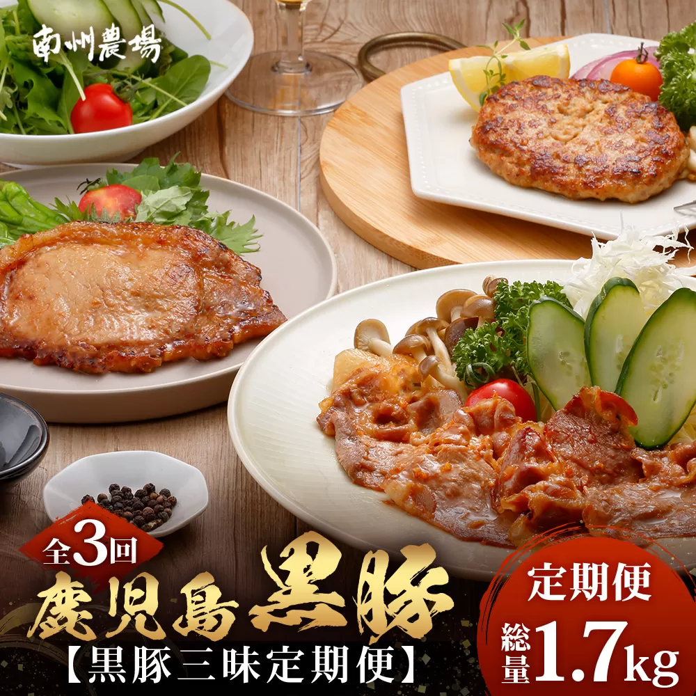 ≪全3回≫ 鹿児島県産 黒豚三昧 定期便 ♪ ＜ 黒豚味噌漬け 生姜焼き 生ハンバーグ ＞ ★☆＼＼ 黒豚ロース味噌漬け バナナマンの早起きせっかくグルメで紹介されました！！／／☆★ 南州農場 かごしま黒豚 NS-29 | 肉 お肉 豚肉 豚 にく ぶた 鹿児島黒豚 ハンバーグ 味噌漬け 生姜焼き おかず ジューシー お弁当 国産 肉定期便 鹿児島県 南大隅町 南州農場