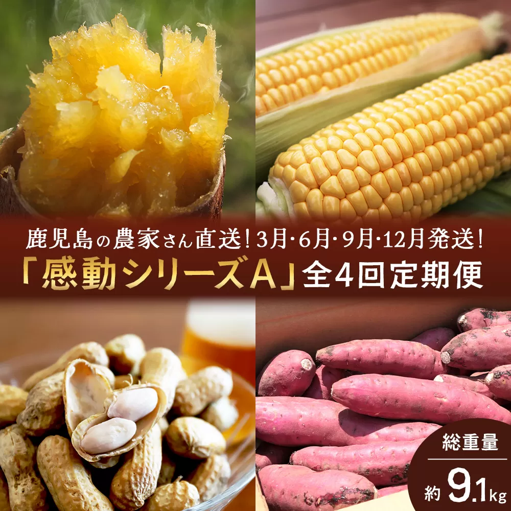 【定期便・年4回】農家の感動シリーズA(約9.1kg) FR-1|冷凍焼き芋 ゴールドラッシュ とうもろこし 塩茹で 落花生 おおまさり ピーナッツ 芋 さつまいも 紅はるか 野菜定期便 旬 産地直送 サラダ 南大隅町