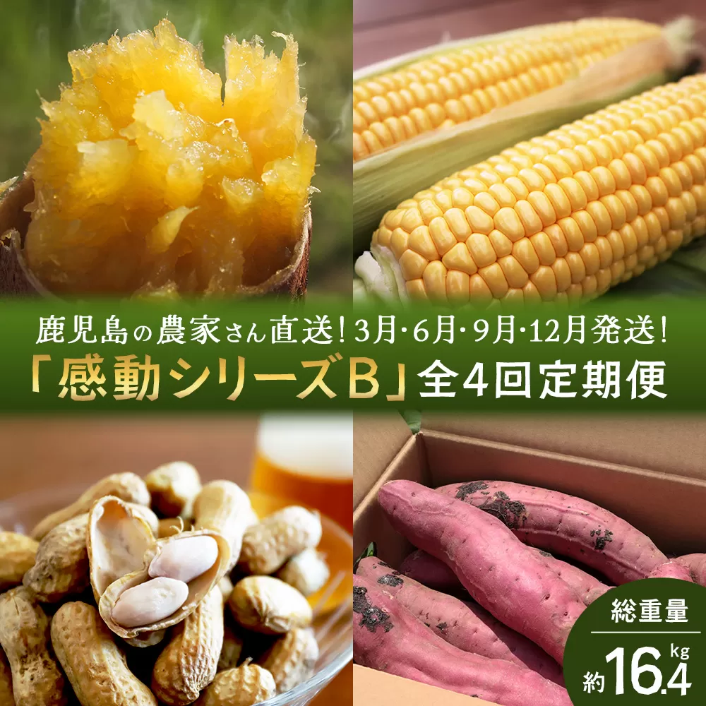 【定期便・年4回】農家の感動シリーズB (約16.4kg) FR-2｜冷凍焼き芋 ゴールドラッシュ とうもろこし 塩茹で 落花生 おおまさり ピーナッツ 芋 さつまいも 紅はるか 野菜定期便 旬 産地直送 サラダ 南大隅町
