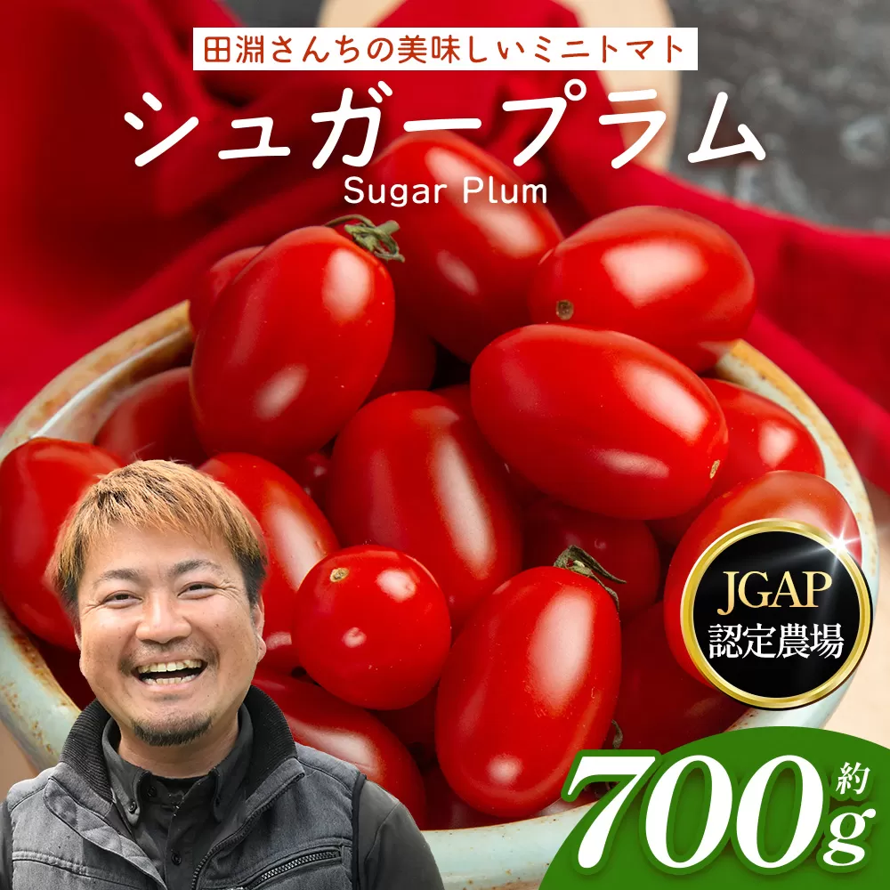 《期間限定》田淵さんちの美味しい ミニトマト シュガープラム（約700g）GP-1｜鹿児島県 南大隅 産地直送 旬 とまと トマト ミニトマト リコピン 完熟 甘い 高糖度 野菜 やさい 送料無料