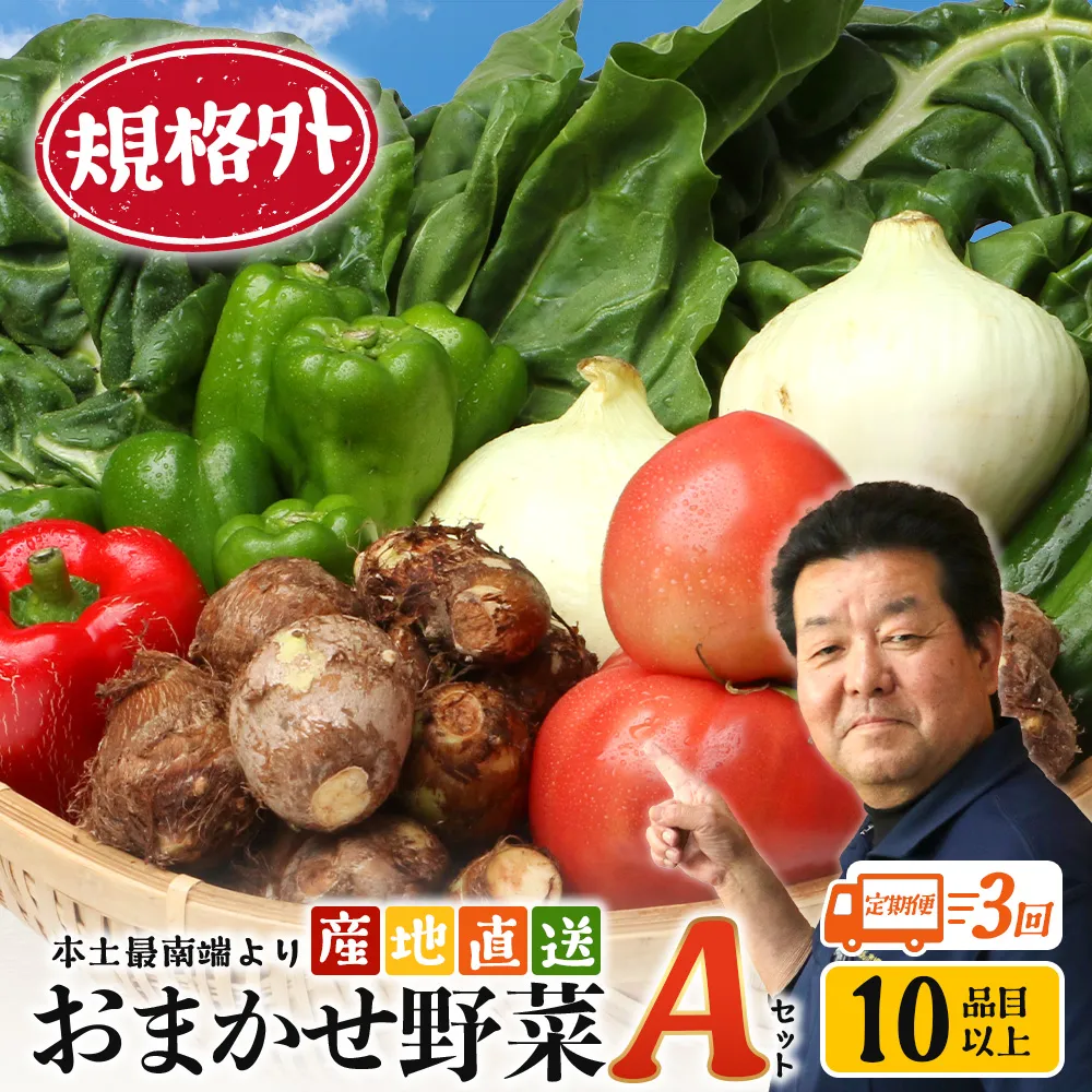 【定期便全3回】【規格外】本土最南端から 旬のおまかせ野菜セットA 10品目以上 NI-4 ｜ 旬 野菜 やさい 果物 くだもの 産地直送 農産物 冷蔵 鹿児島県 南大隅町産 詰合せ おまかせ 家庭用 訳あり なんたん市場