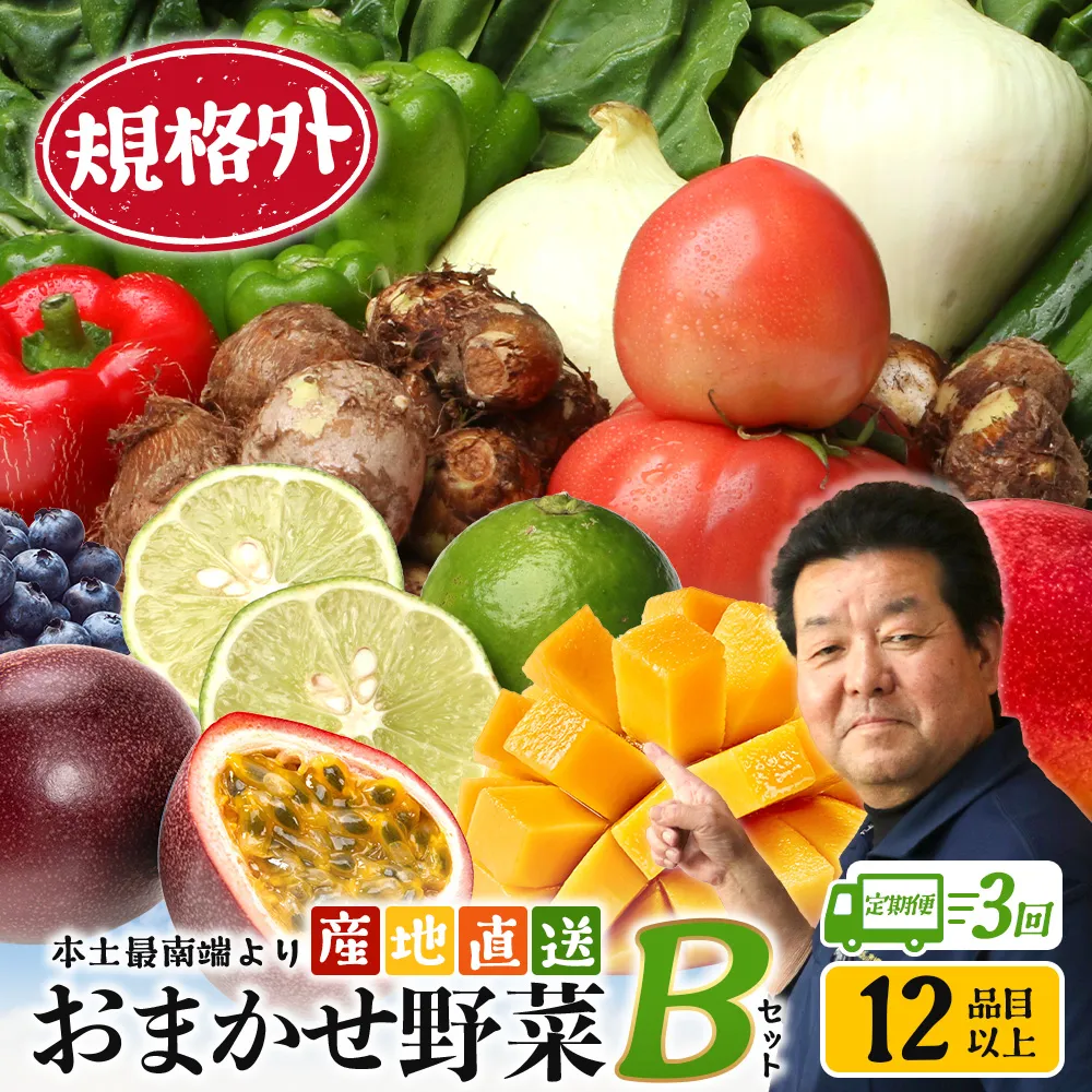 【定期便全3回】【規格外】本土最南端から 旬のおまかせ野菜セットB 12品目以上 NI-7 ｜ 旬 野菜 やさい 果物 くだもの 産地直送 農産物 冷蔵 鹿児島県 南大隅町産 詰合せ おまかせ 家庭用 訳あり なんたん市場