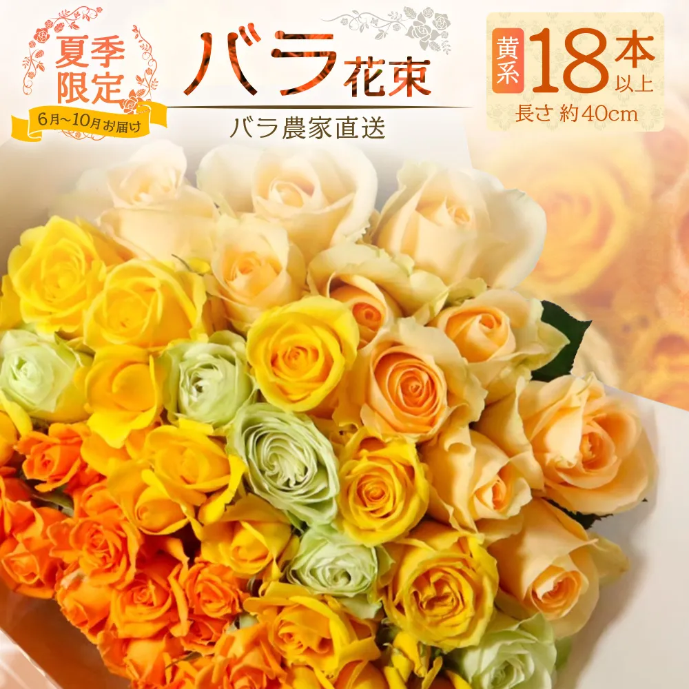 【日付指定必須・ギフト対応可】夏季限定 ばら農家直送!バラ花束18本以上お届け(黄系) TB-3│ローズ 新鮮 花 フラワー 花束 ばら 薔薇 バラ 誕生日 記念日 結婚祝い ギフト プレゼント お祝い 贈り物 贈答 鹿児島県 南大隅町 富田バラ園