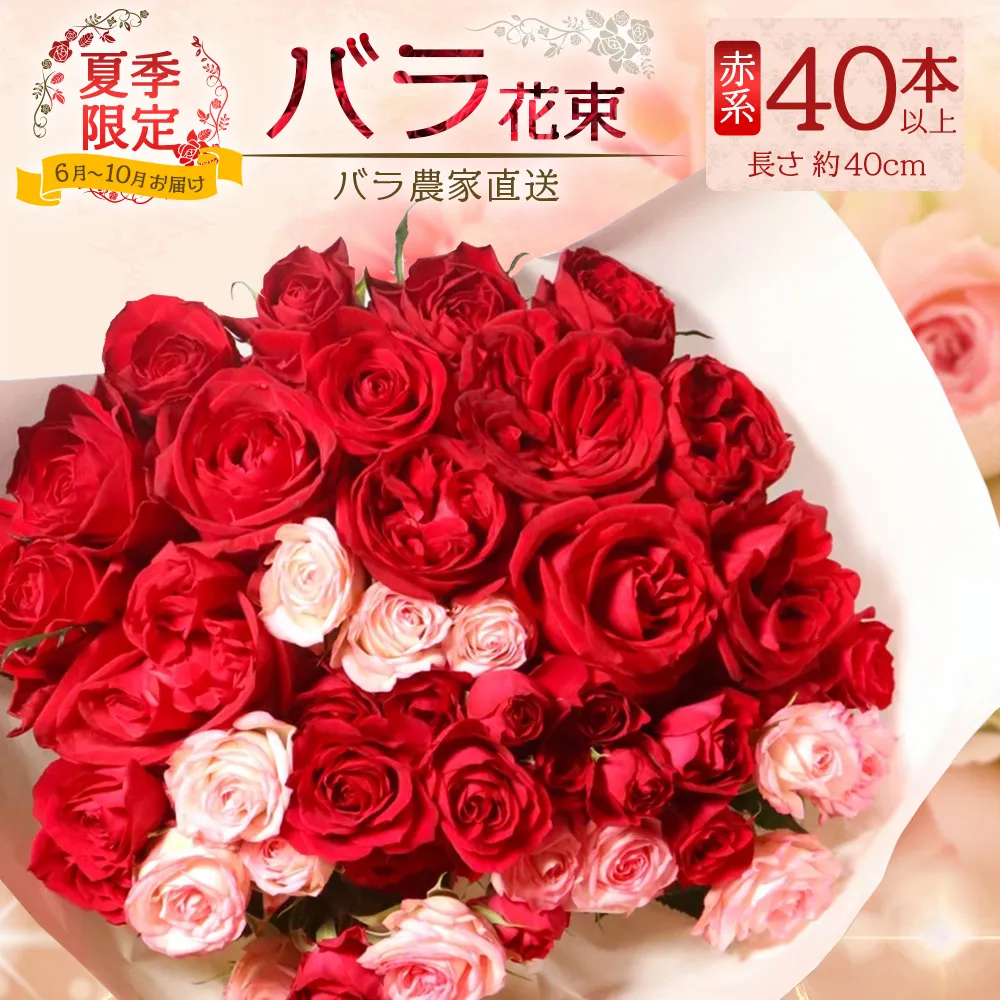 【日付指定必須・ギフト対応可】 夏季限定 ばら農家直送!バラ花束40本以上お届け(赤系) TB-5│ローズ 新鮮 花 フラワー 花束 ばら 薔薇 バラ 誕生日 記念日 結婚祝い ギフト プレゼント お祝い 贈り物 贈答 鹿児島県 南大隅町 富田バラ園