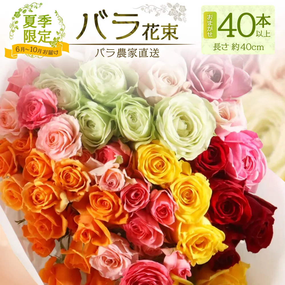 【日付指定必須・ギフト対応可】 夏季限定 ばら農家直送!バラ花束40本以上お届け(色はおまかせ) TB-8│ローズ 新鮮 花 フラワー 花束 ばら 薔薇 バラ 誕生日 記念日 結婚祝い ギフト プレゼント お祝い 贈り物 贈答 鹿児島県 南大隅町 富田バラ園