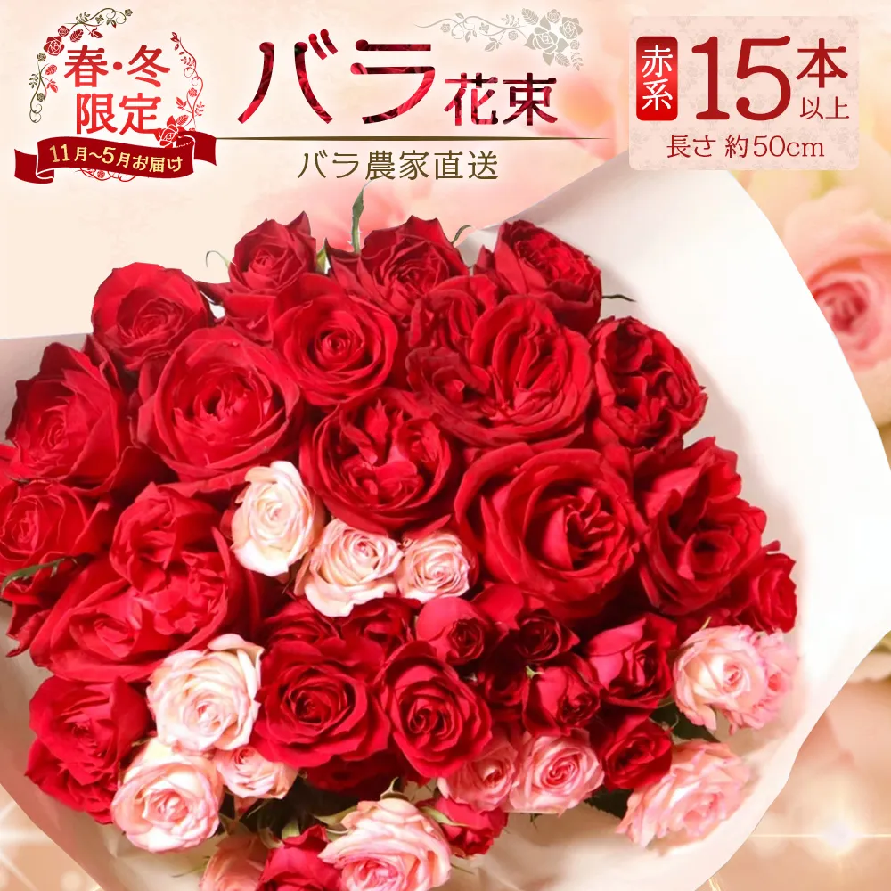 【クリスマス・年内お届けは12/15申込締切】ばら農家直送!人気の春・冬薔薇をお届け♪ バラ花束15本以上(赤系)日付指定必須 ギフト対応可 TB-9│ローズ 新鮮 花 フラワー 花束 ばら 薔薇 バラ 誕生日 記念日 結婚祝い ギフト プレゼント お祝い 贈り物 贈答 鹿児島県 南大隅町 富田バラ園