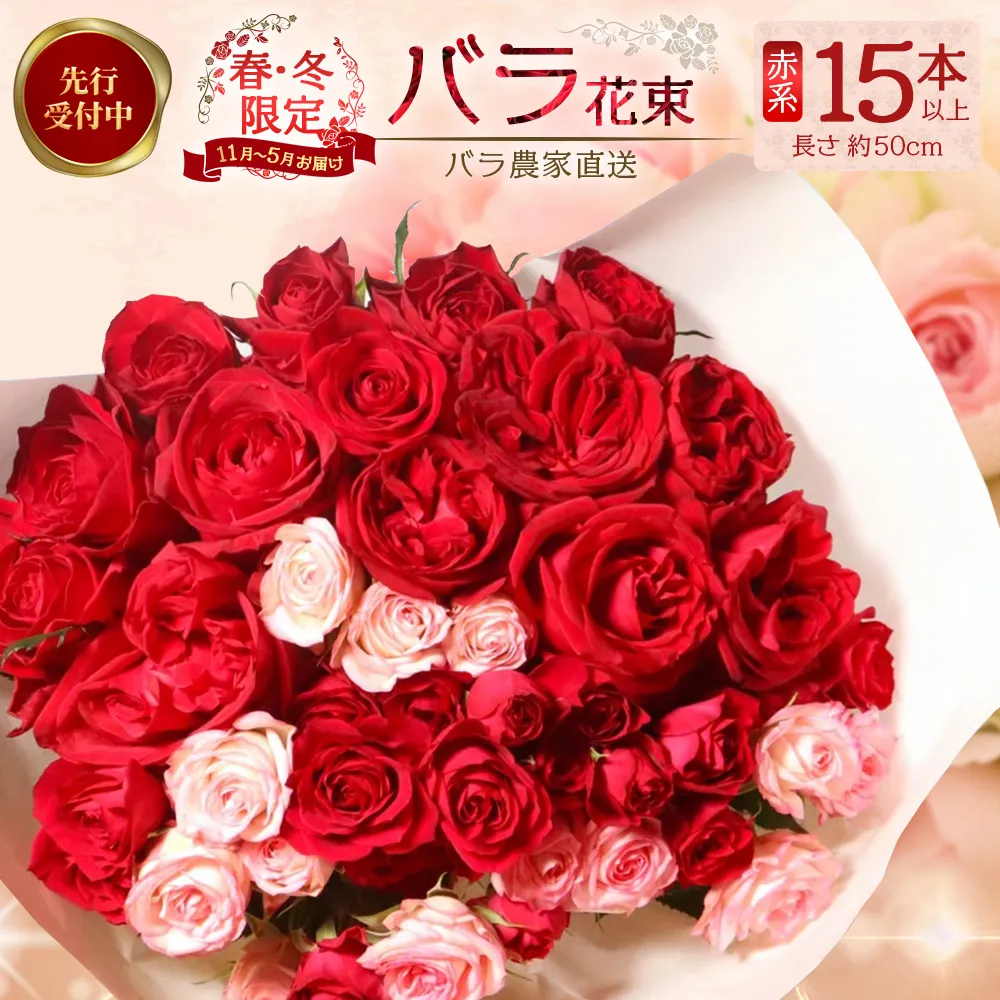 ※先行予約※【日付指定必須・ギフト対応可】ばら農家直送!人気の春・冬薔薇をお届け♪ バラ花束15本以上(赤系) TB-9│ローズ 新鮮 花 フラワー 花束 ばら 薔薇 バラ 誕生日 記念日 結婚祝い ギフト プレゼント お祝い 贈り物 贈答 鹿児島県 南大隅町 富田バラ園