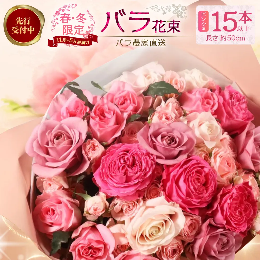 ※先行予約※【日付指定必須・ギフト対応可】ばら農家直送!人気の春・冬薔薇をお届け♪ バラ花束15本以上(ピンク系) 【ギフト対応可】 TB-10│ローズ 新鮮 花 フラワー 花束 ばら 薔薇 バラ 誕生日 記念日 結婚祝い ギフト プレゼント お祝い 贈り物 贈答 鹿児島県 南大隅町 富田バラ園