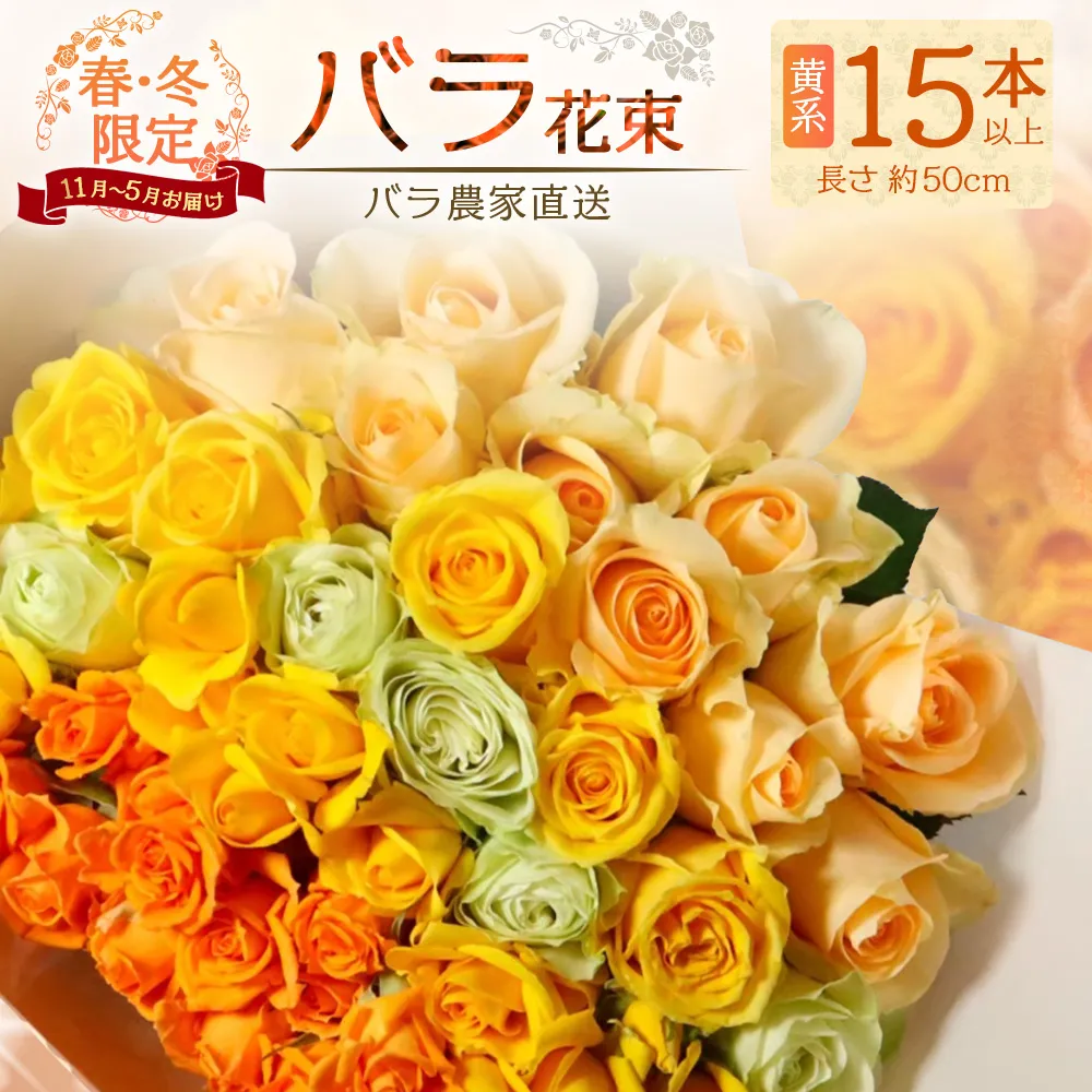 【クリスマス・年内お届けは12/15申込締切】ばら農家直送!人気の春・冬薔薇をお届け♪ バラ花束15本以上(黄系) 日付指定必須 ギフト対応可 TB-11│ローズ 新鮮 花 フラワー 花束 ばら 薔薇 バラ 誕生日 記念日 結婚祝い ギフト プレゼント お祝い 贈り物 贈答 鹿児島県 南大隅町 富田バラ園