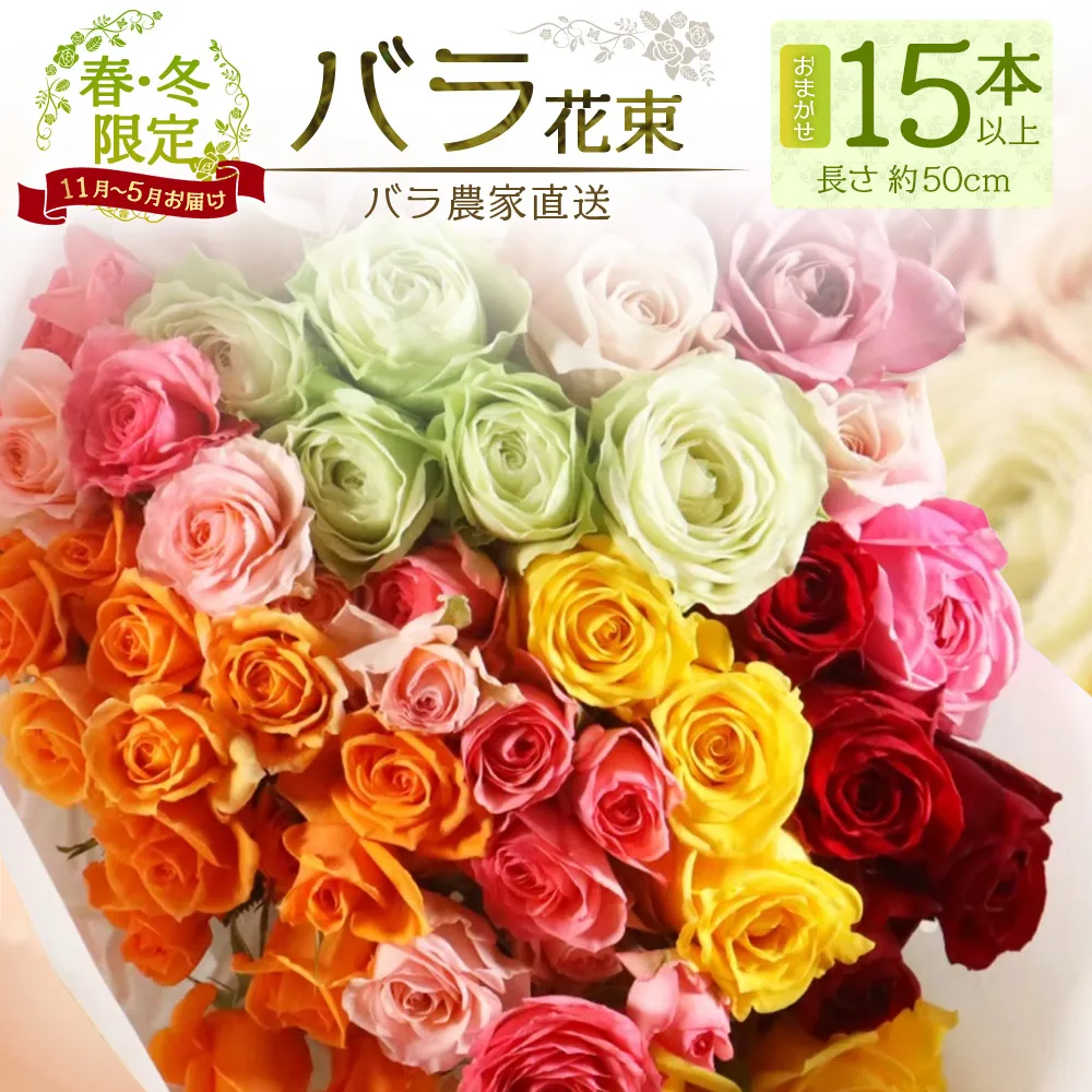 【クリスマス・年内お届けは12/15申込締切】ばら農家直送！ 人気の春・冬薔薇をお届け♪ バラ花束15本以上(色はおまかせ) 日付指定必須 ギフト対応可 TB-12│ローズ 新鮮 花 フラワー 花束 ばら 薔薇 バラ 誕生日 記念日 結婚祝い ギフト プレゼント お祝い 贈り物 贈答 鹿児島県 南大隅町 富田バラ園 