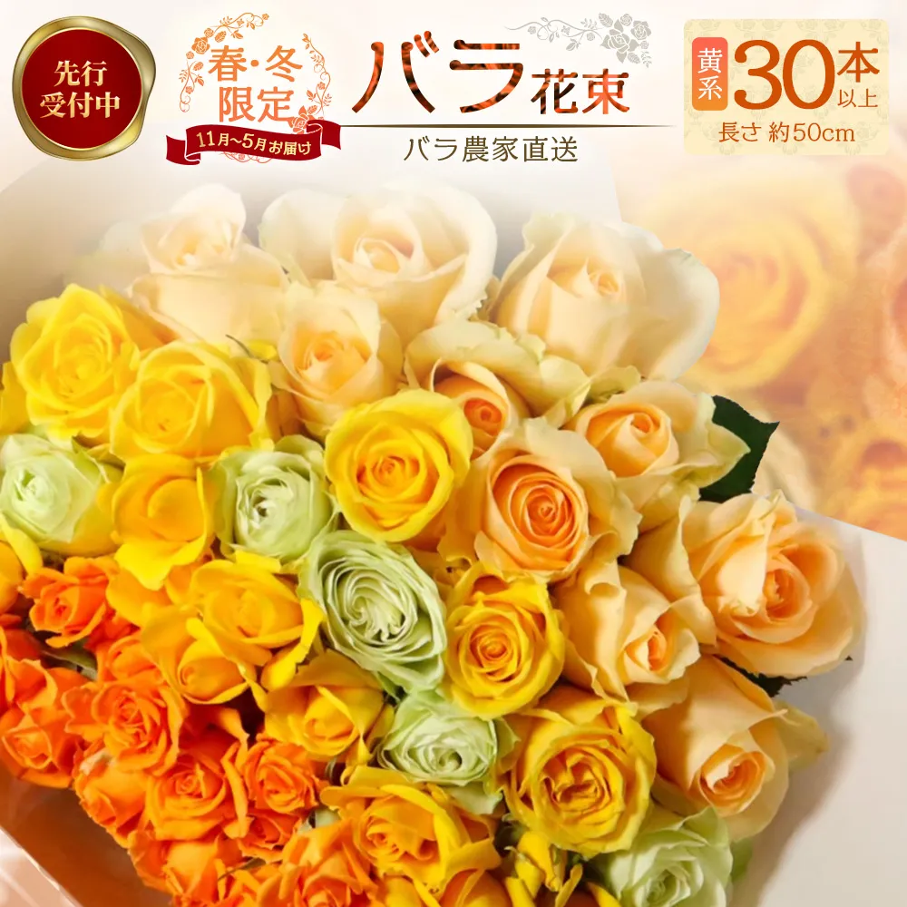 ※先行予約※【日付指定必須・ギフト対応可】ばら農家直送!人気の春・冬薔薇をお届け♪バラ花束30本以上(黄系) TB-15 │ ローズ 新鮮 花 フラワー 花束 ばら 薔薇 バラ 誕生日 記念日 結婚祝い ギフト プレゼント お祝い 贈り物 贈答 鹿児島県 南大隅町 富田バラ園