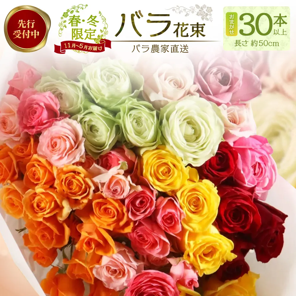 ※先行予約※【日付指定必須・ギフト対応可】ばら農家直送！人気の春・冬薔薇をお届け♪ バラ花束30本以上(色はおまかせ) TB-16 │ ローズ 新鮮 花 フラワー 花束 ばら 薔薇 バラ 誕生日 記念日 結婚祝い ギフト プレゼント お祝い 贈り物 贈答 鹿児島県 南大隅町 富田バラ園