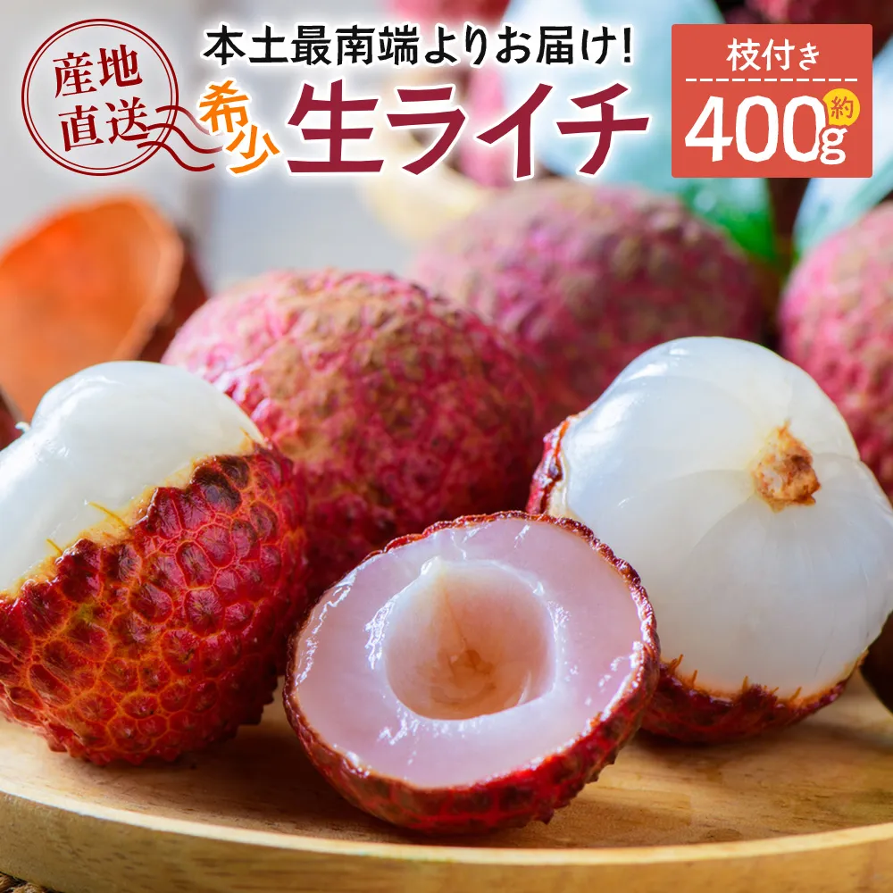 【2027年先行予約】本土最南端よりお届け!希少生ライチ(約400g)TE-1|鹿児島県 南大隅町