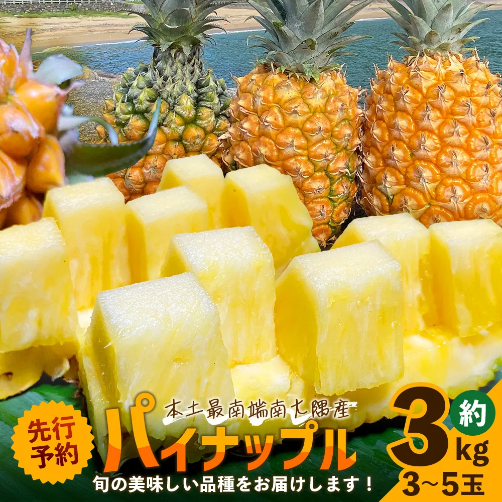 【2027年発送先行予約！数量限定！】国産パイナップル　約3ｋg（3～5玉）～なか農園おまかせセット～ NK-001 ｜パイナップル パイン フルーツ 果物 くだもの 数量限定 産地直送 新鮮 旬 ハワイ種 ピーチパイン ボゴール なか農園 鹿児島県 南大隅