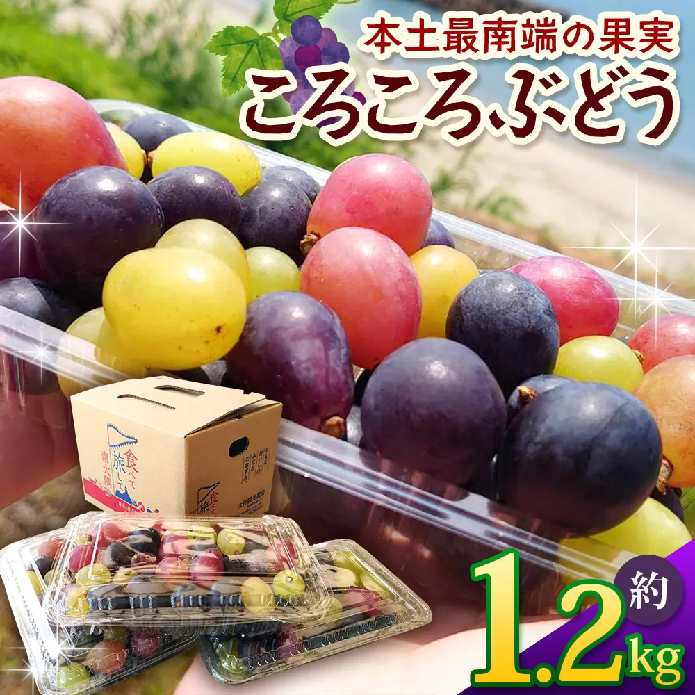【先行予約】＜訳アリ＞ 本土最南端 ぶどう　ころころぶどうパック 約1.2㎏ ｜訳あり 家庭用 産地直送 旬 ブドウ 葡萄 ぶどう フルーツ 果物 くだもの ≪2025年8月より順次発送≫(BB707)