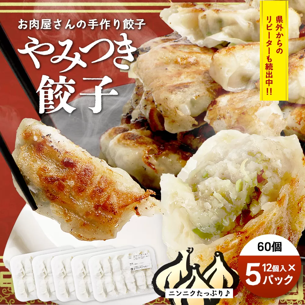 佐多の田中肉屋ニンニクたっぷりやみつき餃子 60個 (12個入り×5パック)
