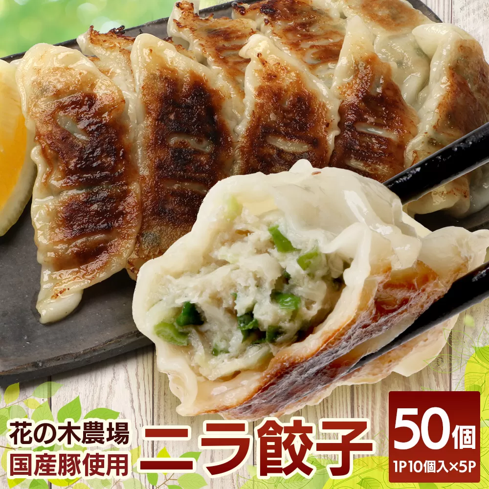 ニラ餃子【5パック】セット