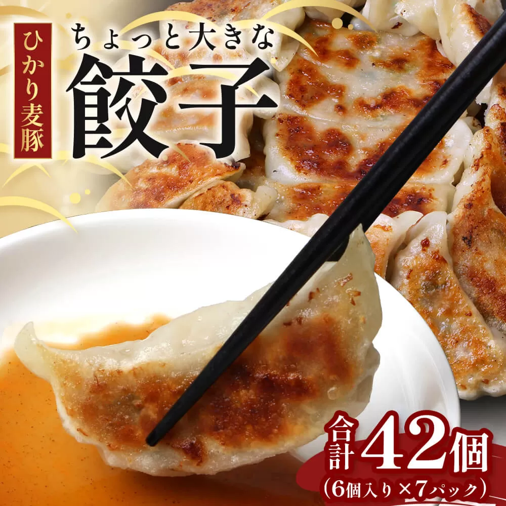 ひかり麦豚　ちょっと大きな 餃子 42個 セット