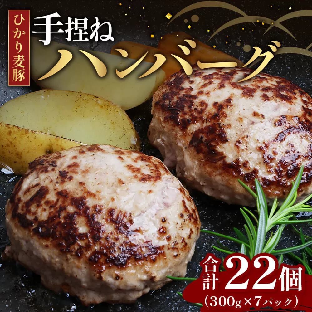 ひかり麦豚　ハンバーグセット サイズ違い 22個 ( 300g × 7パック )
