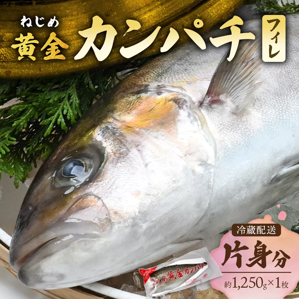 [ねじめ黄金カンパチ]フィレ1枚