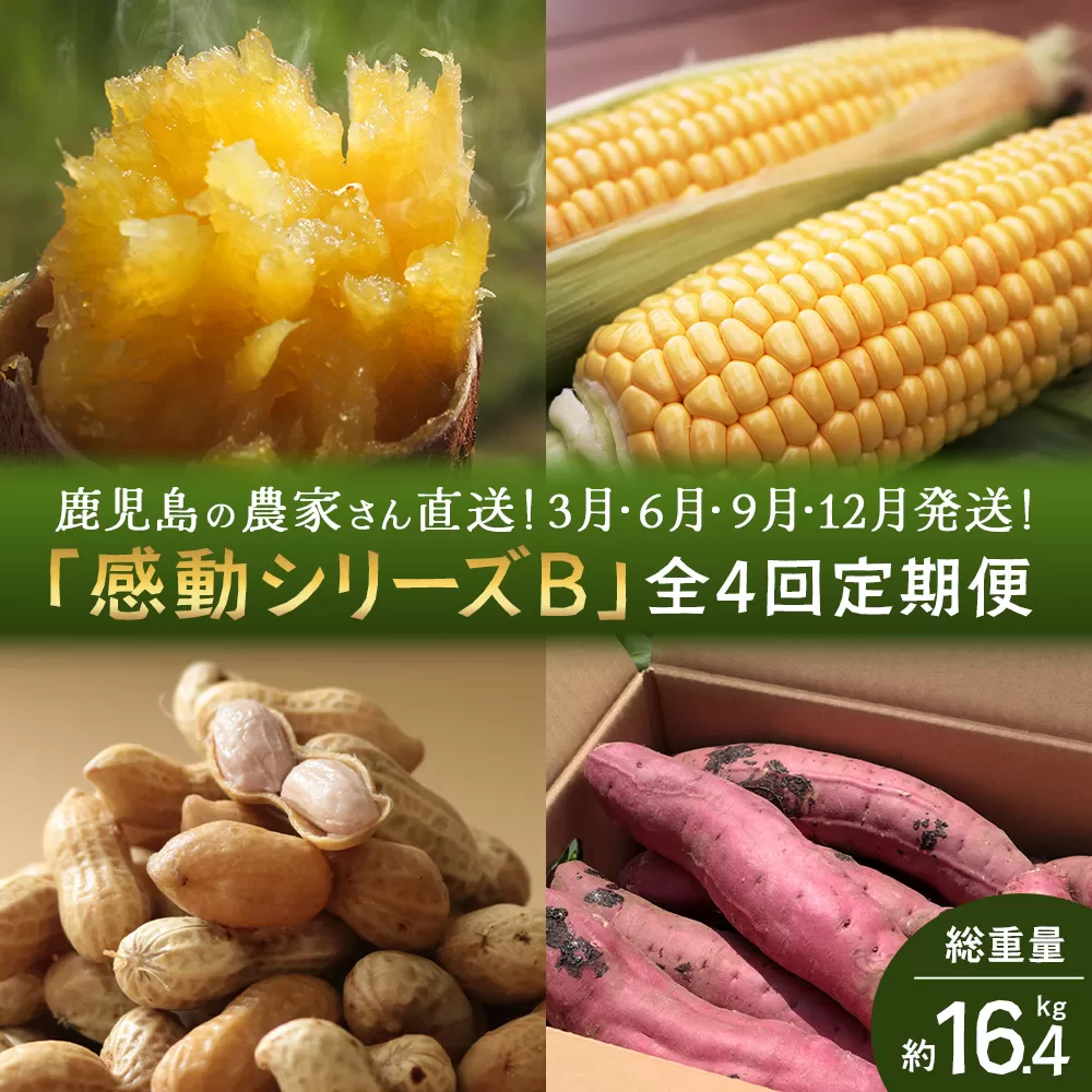 【定期便・年4回 】農家の感動シリーズB ( 冷凍焼き芋 ゴールドラッシュ 塩茹で落花生  紅はるか )(FR-306)